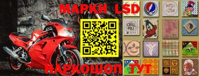 шишки Лесосибирск