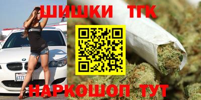 шишки Лесосибирск