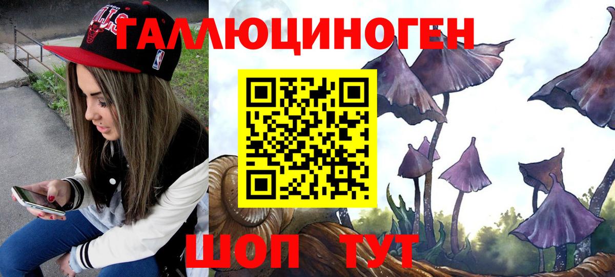 Псилоцибиновые грибы Psilocybine cubensis  Вход с VPN  Касимов  Псилоцибиновые грибы мухоморы 